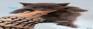 Boy 2