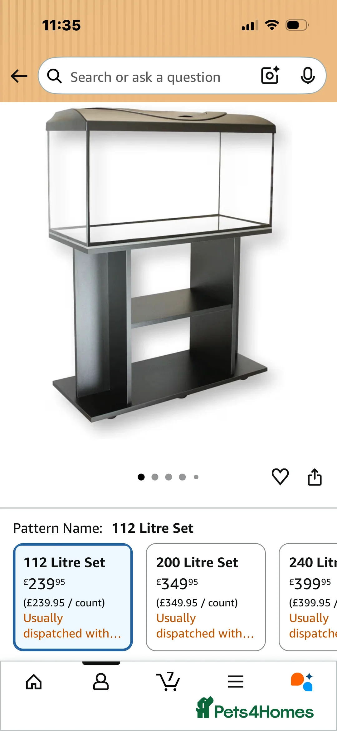 Axolotl reptiles for sale: 2 x female 2 yr leucistic Axolotls in Bury Saint Edmunds - Advert 8