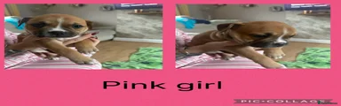 Pink girl 
