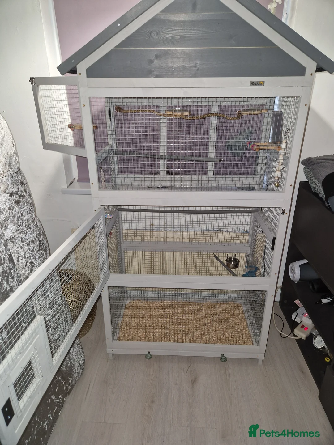Budgerigars birds for sale: 2 female budgies & cage - Advert 7