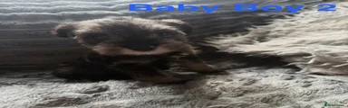 Baby 2. 