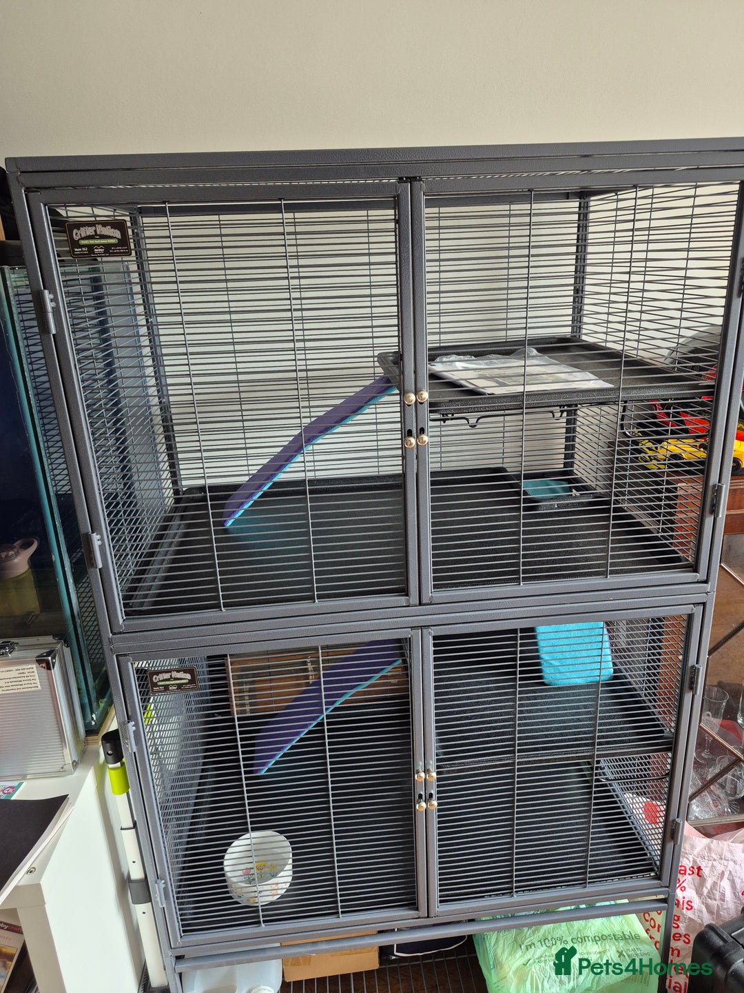 Ferret rodents for sale: Male and female ferrets and cage - Image 2