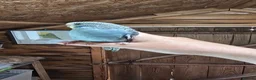Budgerigars birds for sale: Gorgeous Baby Budgies - Advert 19