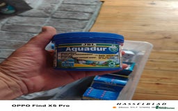 Cichlids fish for sale: Professional tropical aquarium set up - Image 10