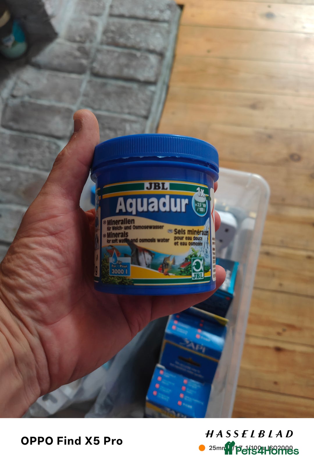 Cichlids fish for sale: Professional tropical aquarium set up - Image 10