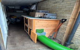 Mixed Breed rabbits for sale: 2 x bonded female rabbits  - Advert 8