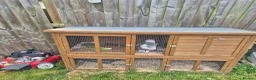 Mixed Breed rabbits for sale: Male and female rabbit with hutches  - Advert 3