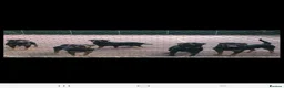 Rottweiler dogs for sale: Rottweiler pupps for sale  - Advert 1