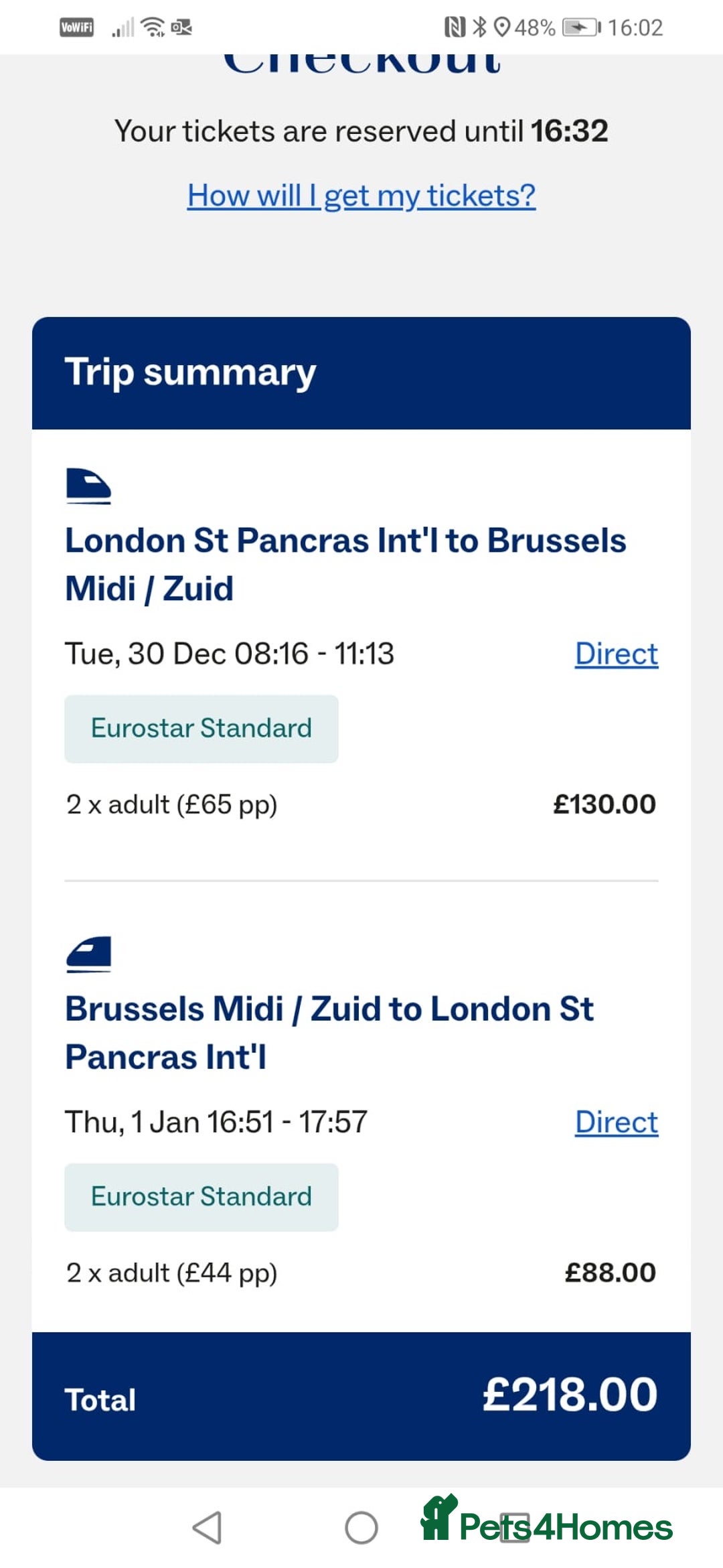 Parakeets birds for sale: Kakariki female ( kiwi) - Advert 7