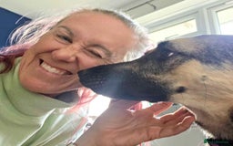 Mixed Breed dogs for adoption: FREYA - Looking for a loving, supportive home. - Image 15