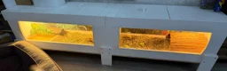 Hermann Tortoise reptiles for sale: Lovely tortoise and vivarium available  in Lichfield - Advert 4