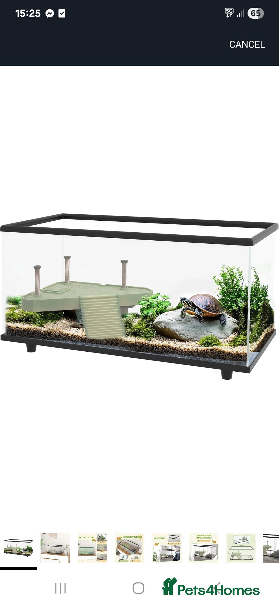Turtle reptiles for sale: Brand new glass terrarium  - Image 4
