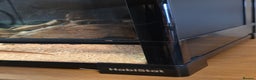 Corn Snake reptiles for sale: Corn snake and Habistat Terrarium in Merthyr Tydfil - Advert 6