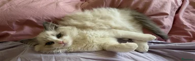 Sebastian 