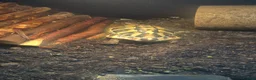 Hermann Tortoise reptiles for sale: Hermann tortoise with full setup in Grimsby - Advert 6