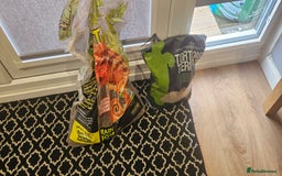 Tortoise reptiles for sale: 4YO (f) hermann & 3YO (f) spur tighed tortoise  - Image 8