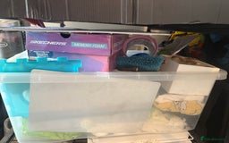 Rat rodents for sale: 3 male rats and massive amount of accessories  - Image 14