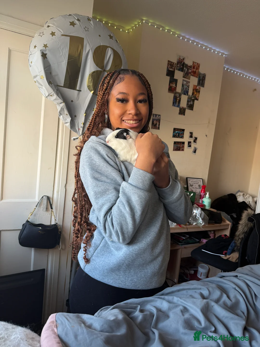 Guinea Pig rodents for sale: 2 Guinea pigs for sale in Hayes - Advert 2