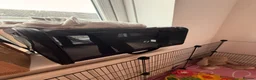 Mini Lop rabbits for sale: Mini lop in Canvey Island - Advert 5