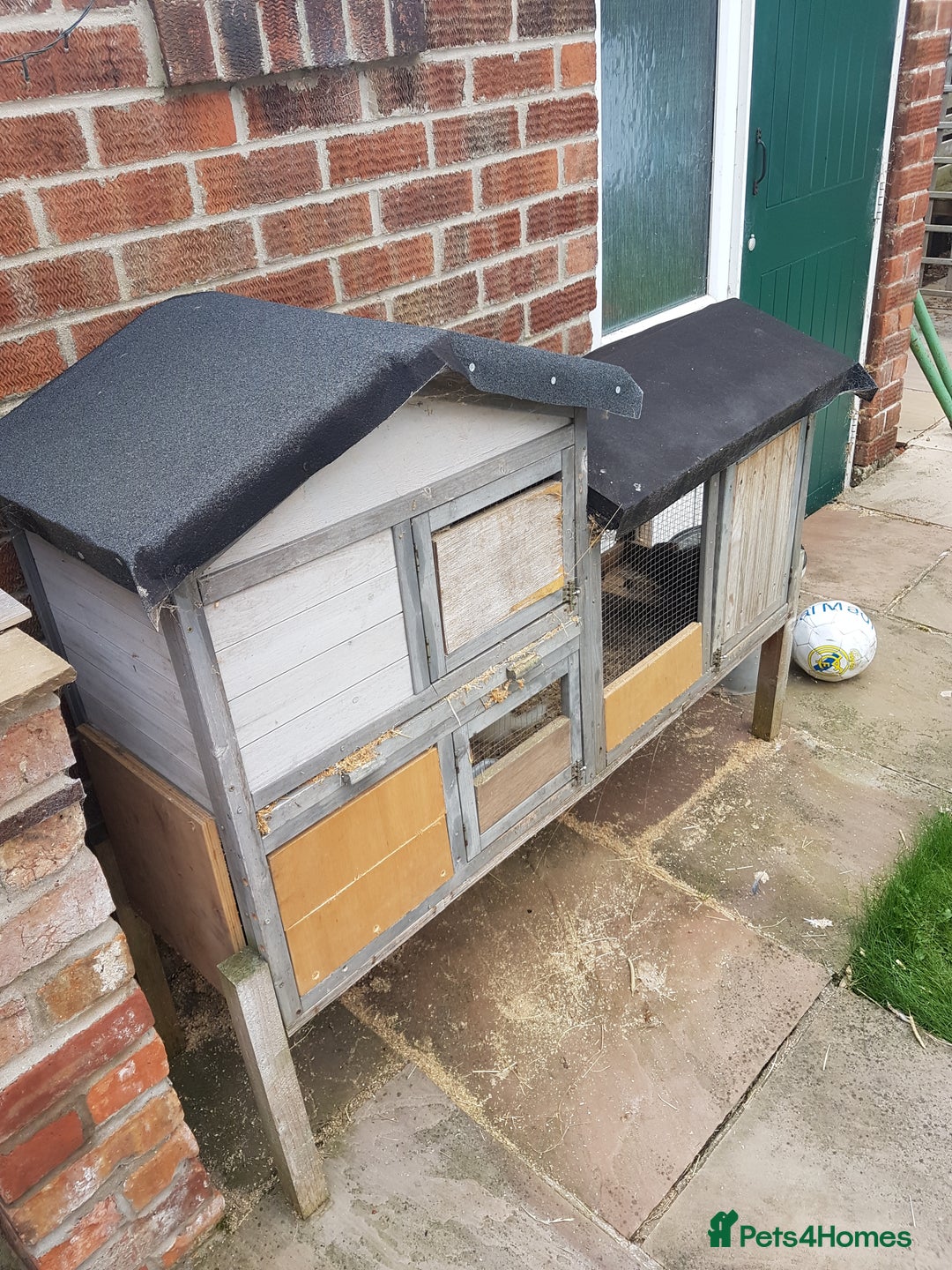 Ferret rodents for sale: Hob ferrets x2 and cage  - Image 2
