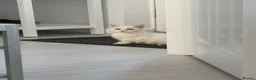 Munchkin cats for sale: Munchkin female  - Advert 5