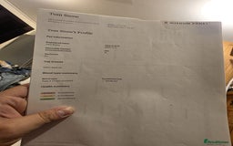 Siberian cats for sale: Siberian Kittens Super Friendly 💕🐾 - Image 17