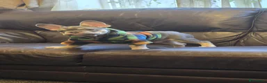 Buttons