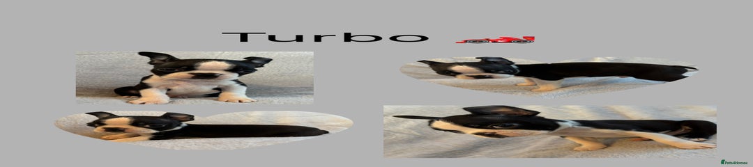 Turbo