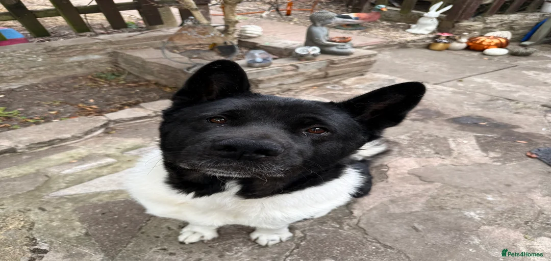 Gallery Image {{count}}