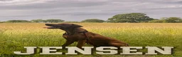Rhodesian Ridgeback dogs for sale: KC RHODESIAN RIDGEBACK PUPPIES FOR SALE  in Carlisle - Advert 8