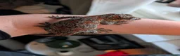 Gecko reptiles for sale: Pyro - Reticulated Gargoyle Gecko  in Reading - Advert 1