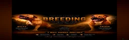 Staffordshire Bull Terrier dogs for sale: Staffordshire bull terrier pups  - Advert 1