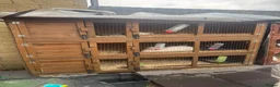 Mixed Breed rabbits for sale: Rabbit hutch for sale - Advert 2