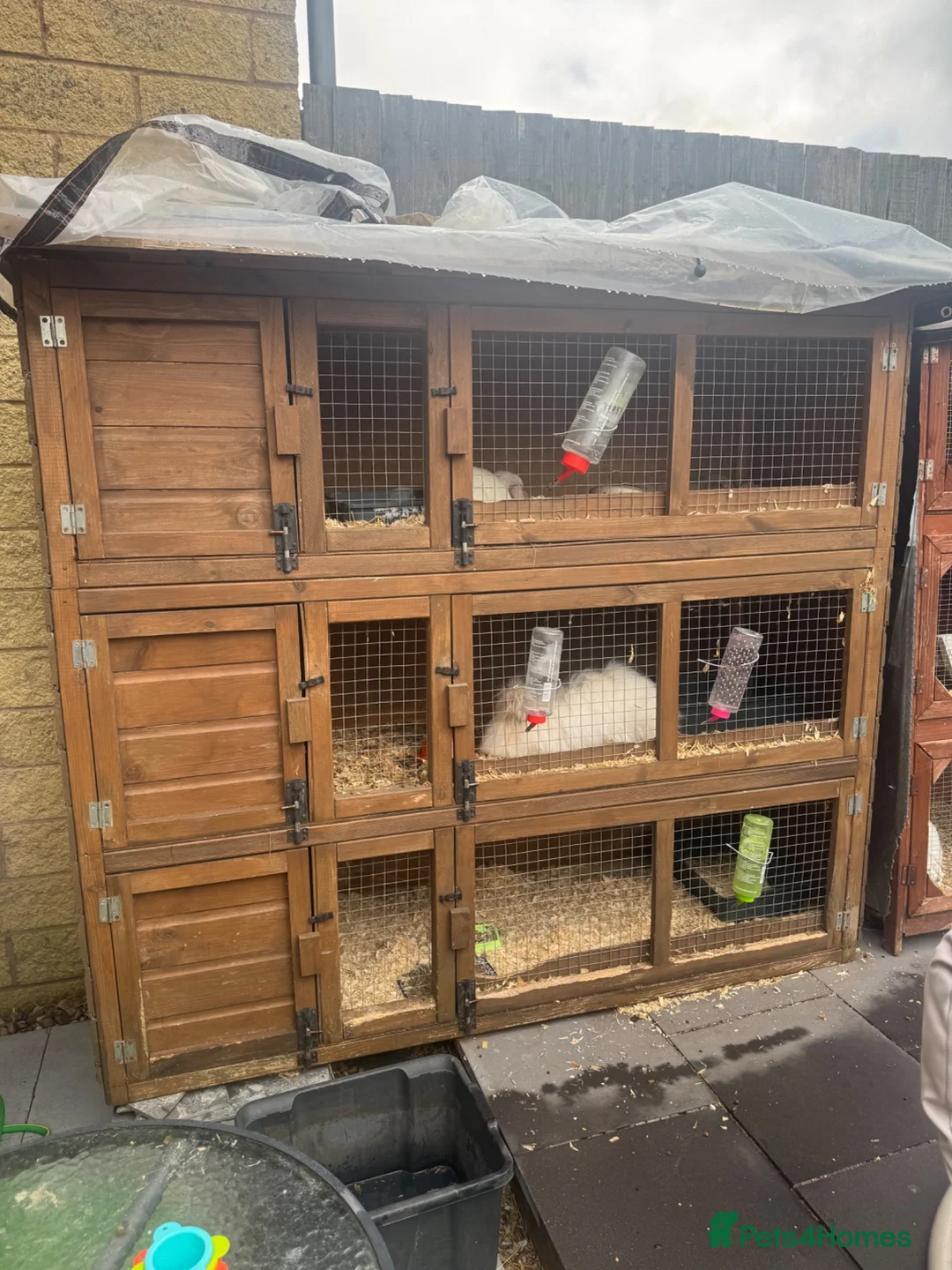 Mixed Breed rabbits for sale: Rabbit hutch for sale - Advert 2