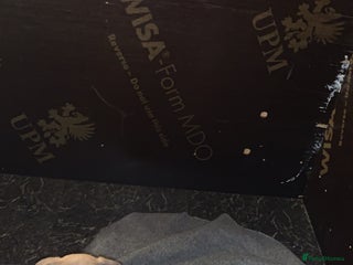 American Bully dogs American pocket bully - Advert 3