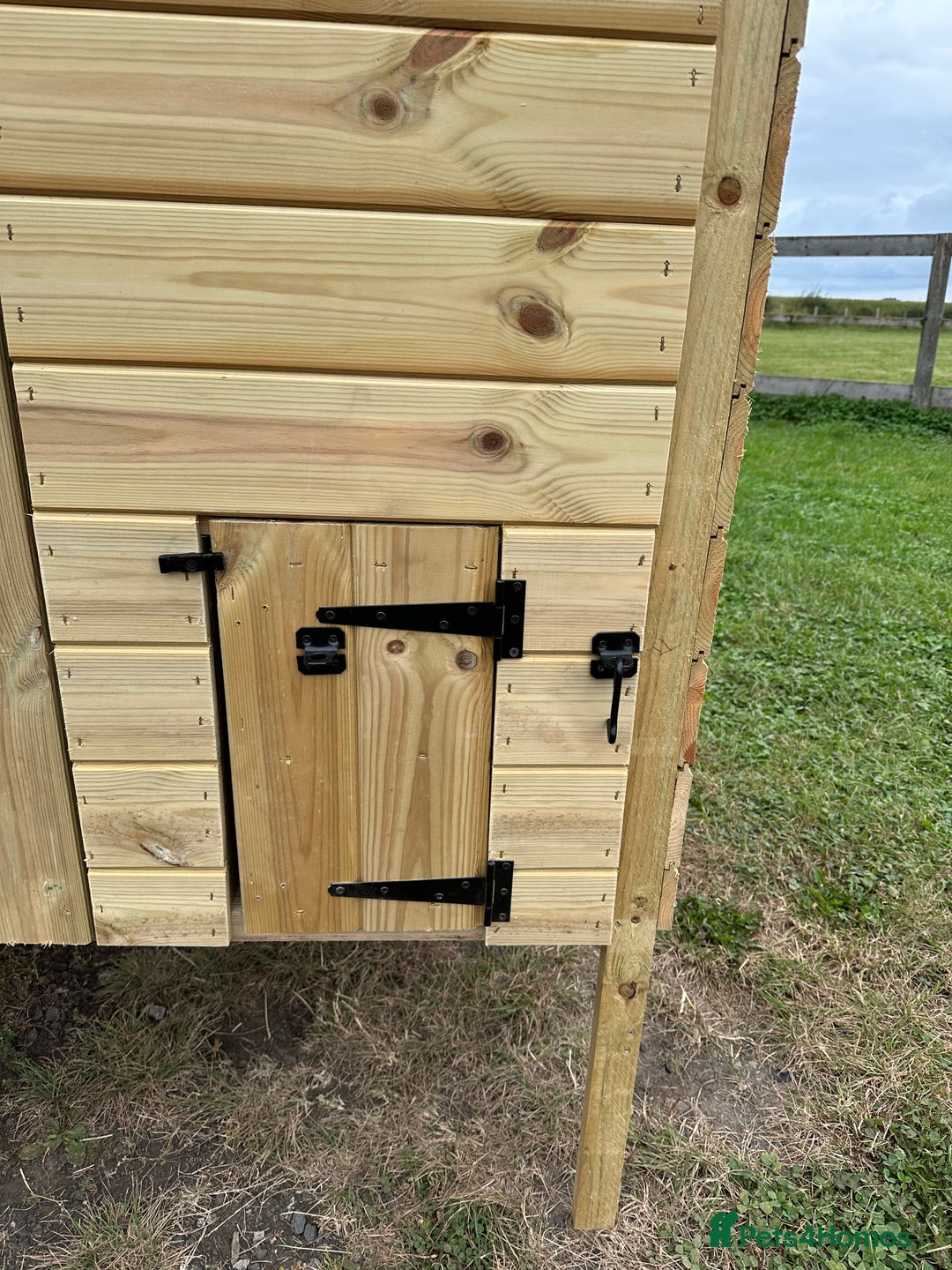 Chickens poultry for sale: Chicken Coops - excellent quality - British Made - Image 3