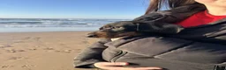 Dachshund dogs for sale: 6 Month Old KC Registered Female Dachshund  in Campbeltown - Advert 5