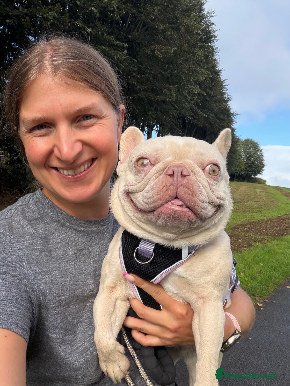 Mixed Breed dogs ❤️🐶 HOPE – A UNIQUE LITTLE FRENCHIE - Advert 2
