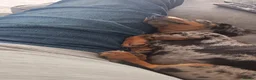 Miniature Dachshund dogs for sale: Miniature dachshund  - Advert 4