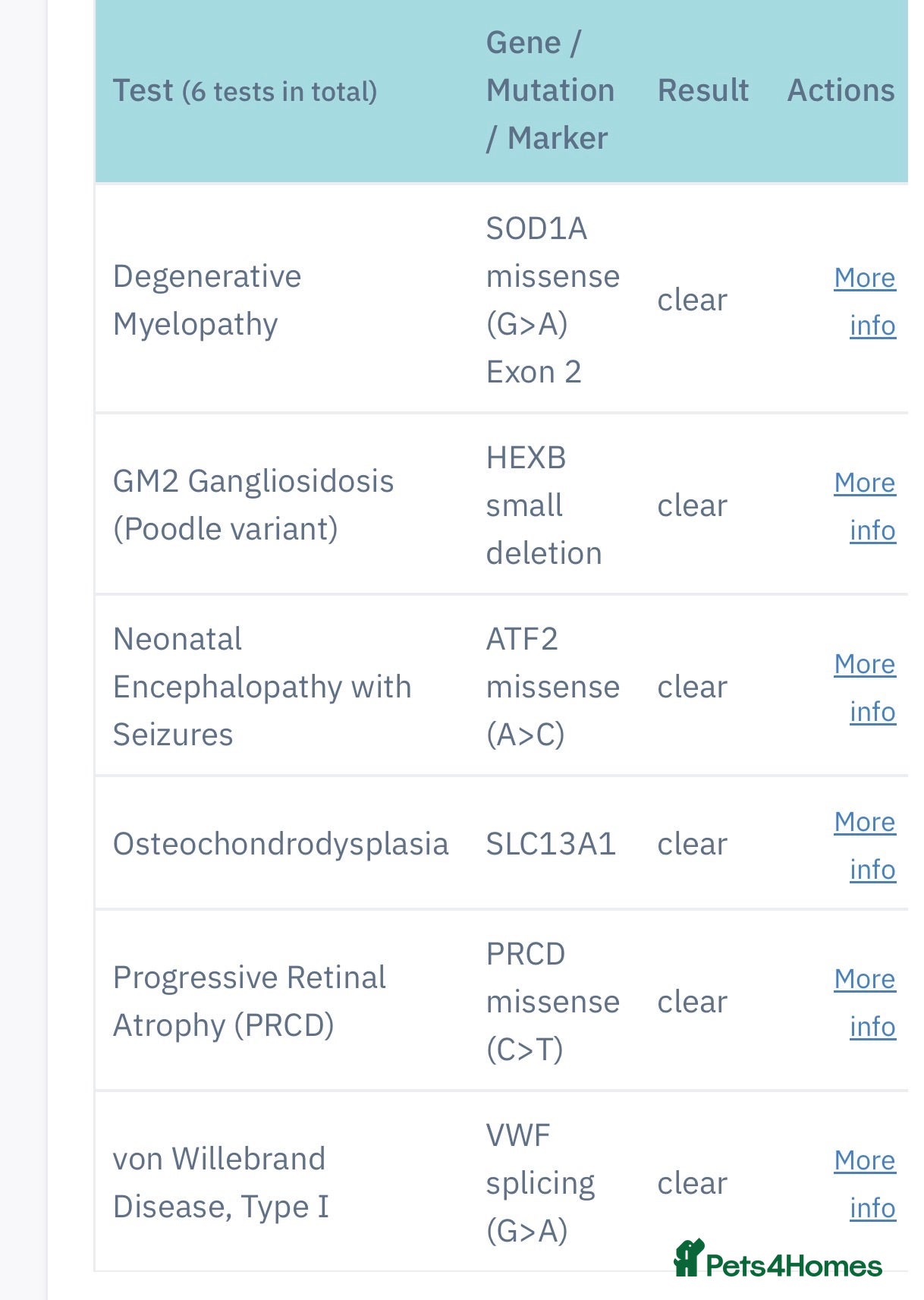 Toy Poodle dogs 3 year old health tested kc reg female toy poodle - Advert 1