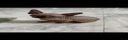 Sphynx cats for sale: Sphynx canadian kittens ready niw  - Advert 2