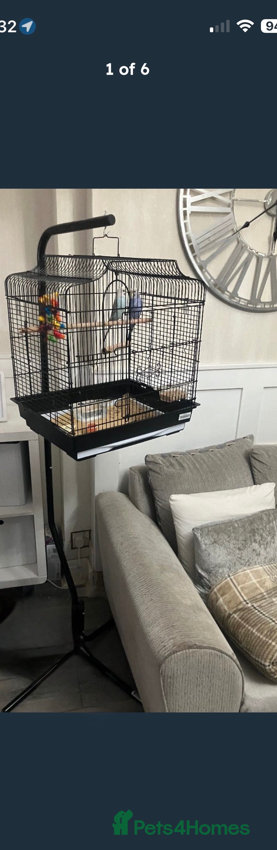 Budgerigars birds 2 budgies with cage and stand  - Advert 1