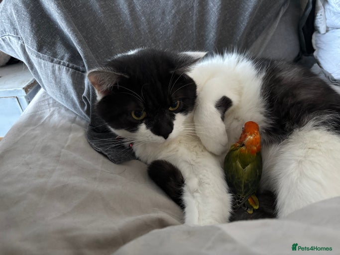 Gallery Image {{count}}