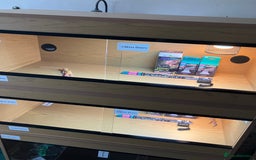 Leopard Gecko reptiles for sale: Leopard Gecko + Vivarium Setup Kit - Image 5
