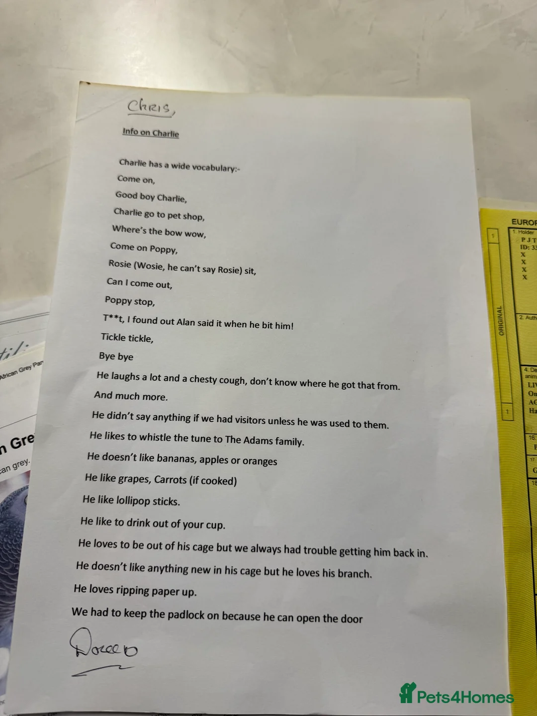 Parrots birds for sale: Tame&talking African grey parrot  - Advert 4