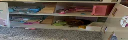 Guinea Pig rodents for sale: Two guinea pigs with enclosure and accessories in Slough - Advert 5