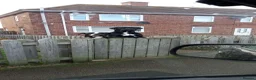 Cane Corso dogs for stud: Our boy Kong is up for stud in Chester-le-Street - Advert 2