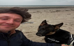 German Shepherd dogs for sale: Freyr - Image 8