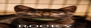Rocky