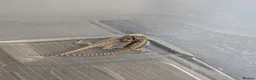 Bearded Dragon reptiles for sale: Baby Bearded Dragons  - Advert 3